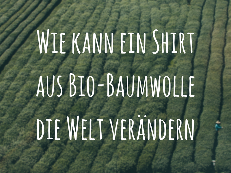 Bio-Baumwolle Bio-Baumwolle