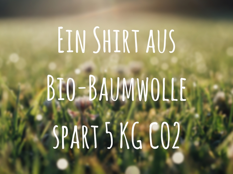 Bio-Baumwolle Bio-Baumwolle