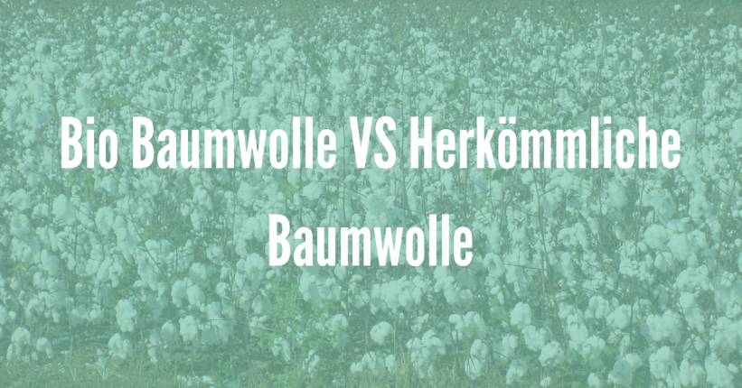 Darum solltest du kein T-Shirt aus herkömmliche Baumwollproduktion tragen25 bio baumwolle t shirt, bio baumwolle t shirt statt normaler baumwolle, normaler baumwolle, bio baumwolle unterschied, bio baumwolle anbau, bio baumwolle definition,